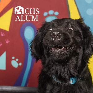 Fundraising Page: Nicole Contreras